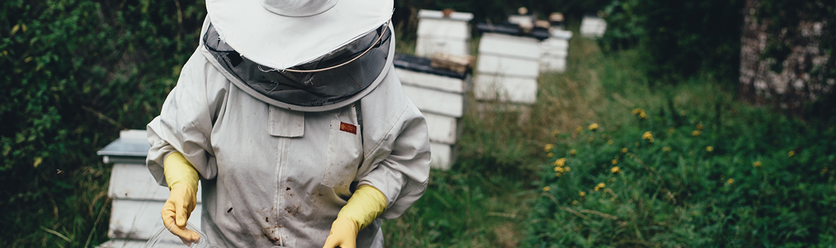 Beekeeper in field